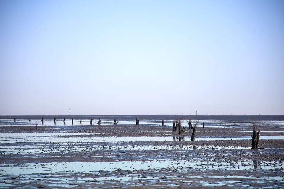 Landscapes, photograph 18