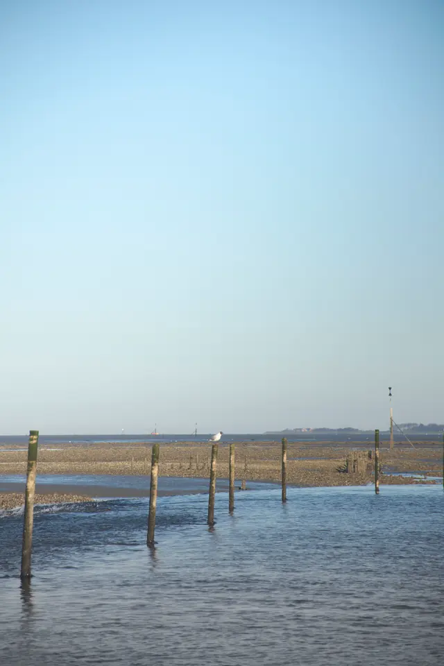 Low tide