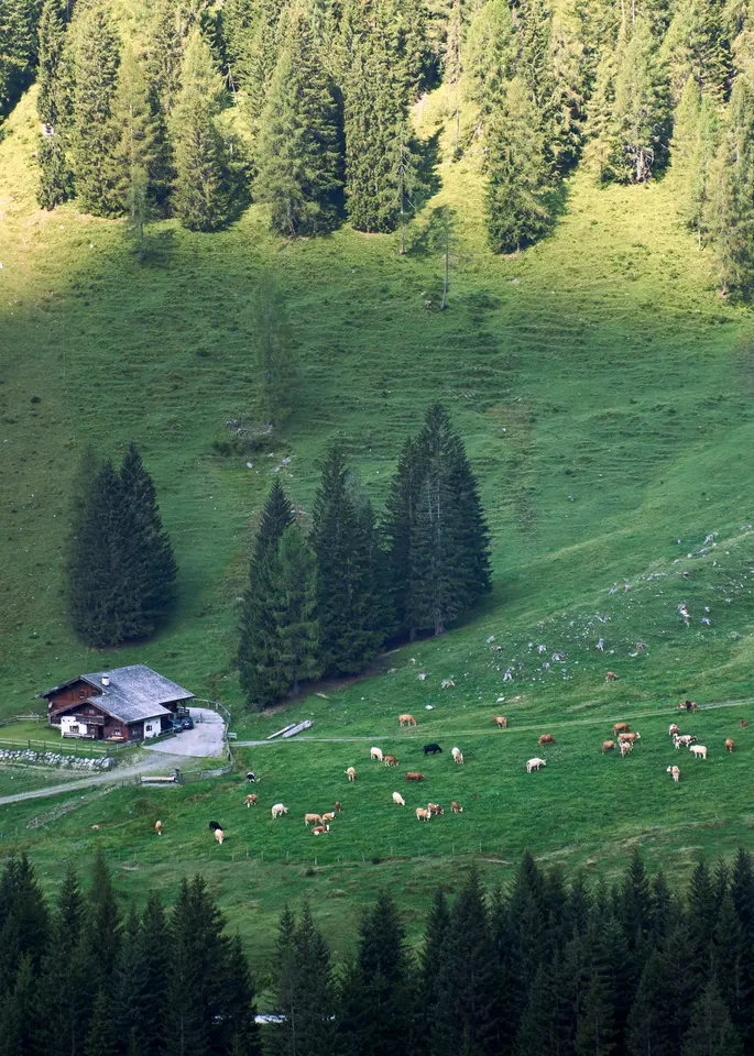Landscapes, photograph 15