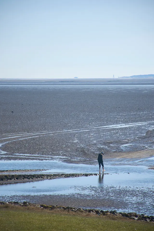 Landscapes, photograph 6