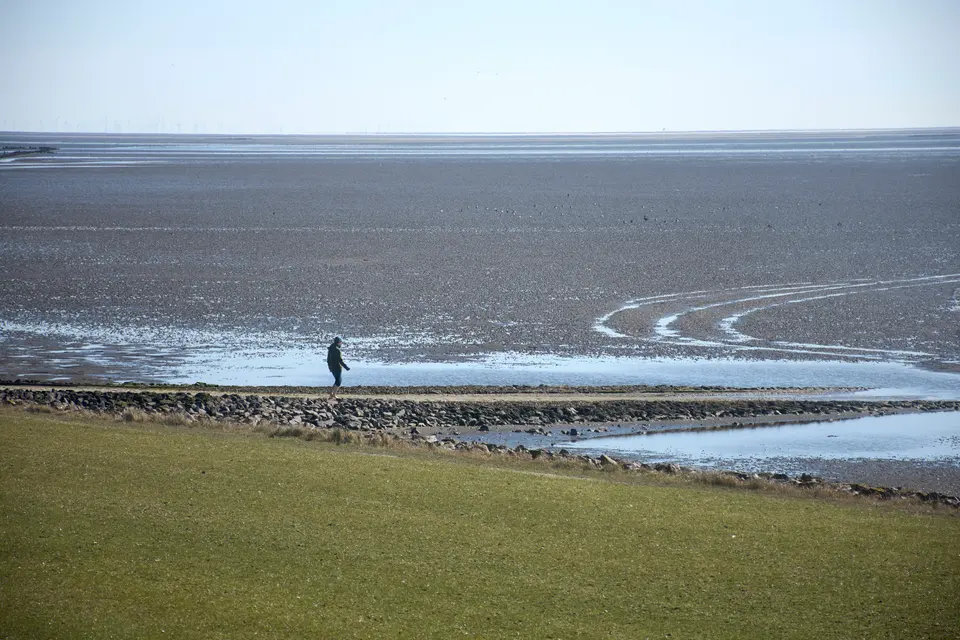 Landscapes, photograph 7