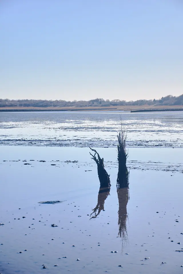 Landscapes, photograph 3