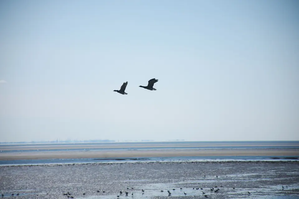 Landscapes, photograph 12
