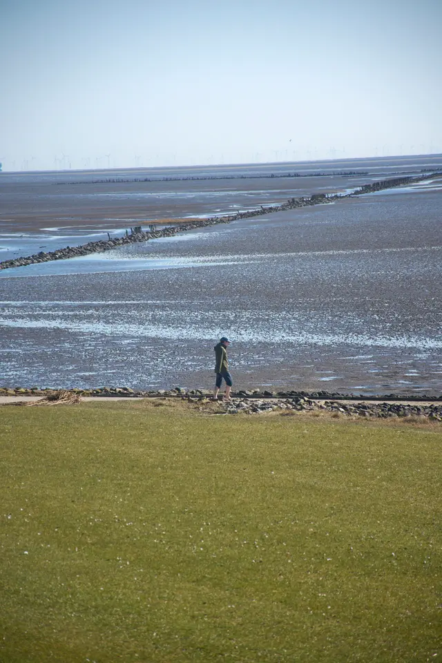 Landscapes, photograph 9