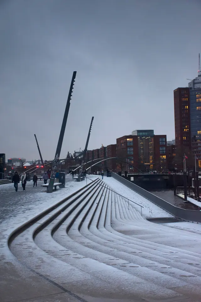 Lines of the city