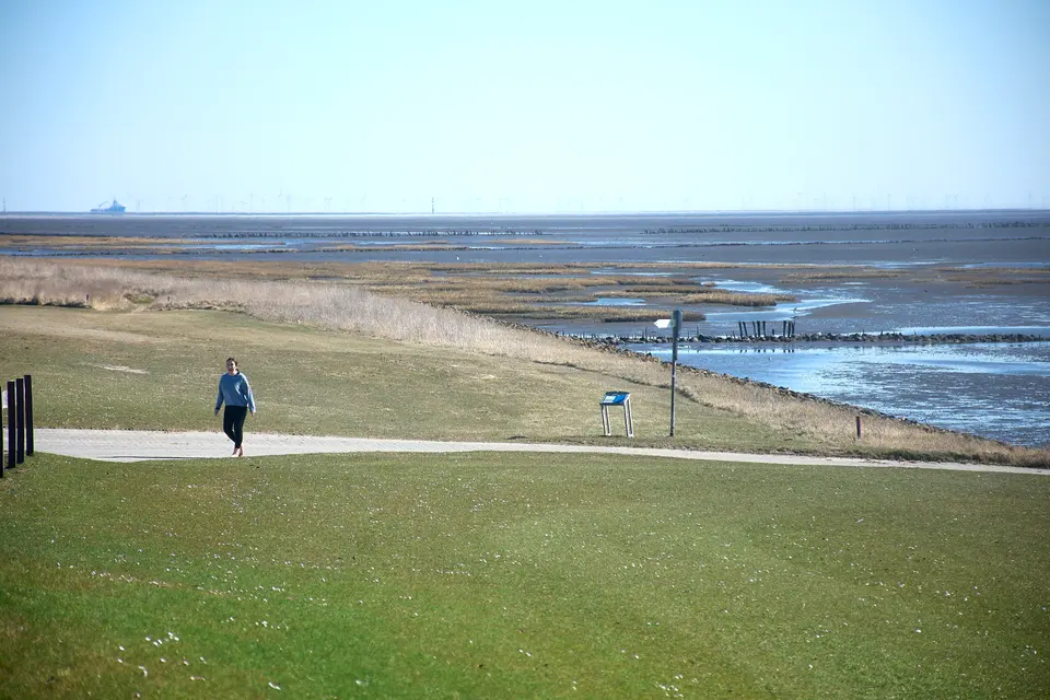 Landscapes, photograph 8