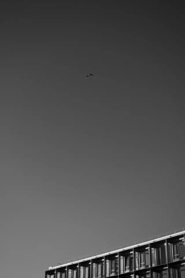 The top corner of an office building against an empty grey sky, a bird high above