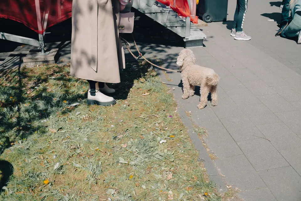 Documentary, photograph 5