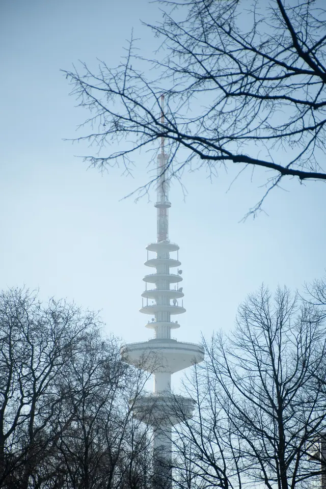 Hamburg's television tower seen through bare branches against a pale blue sky