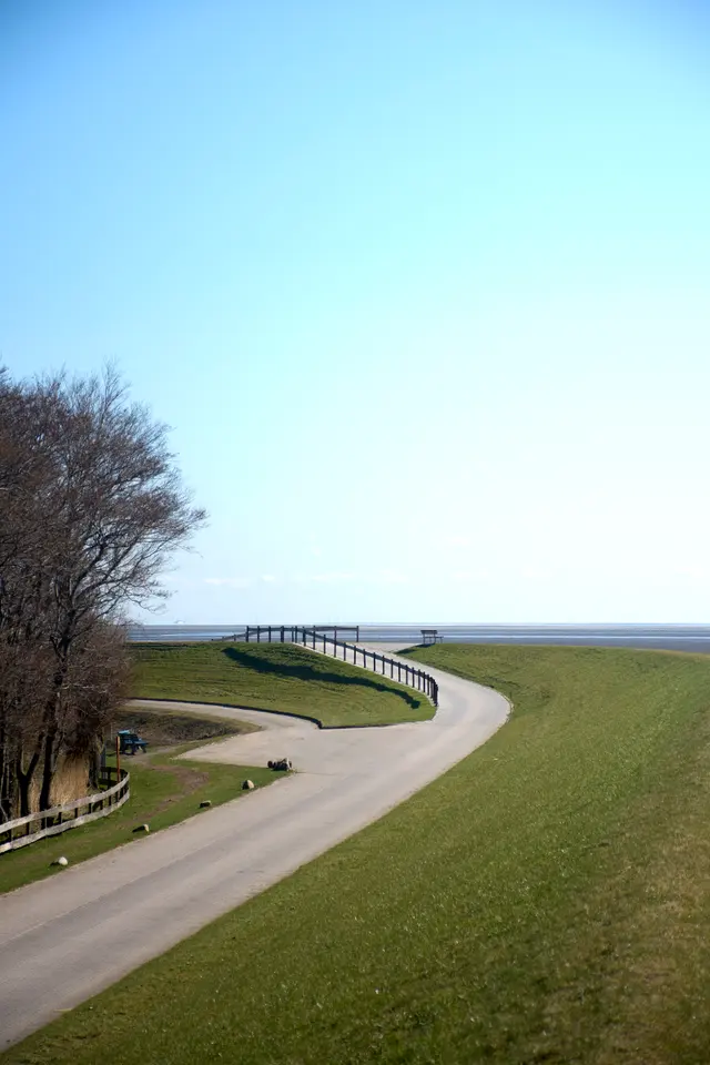 Dyke path